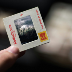Das Bild zeigt eine Kodak Chrome Slide